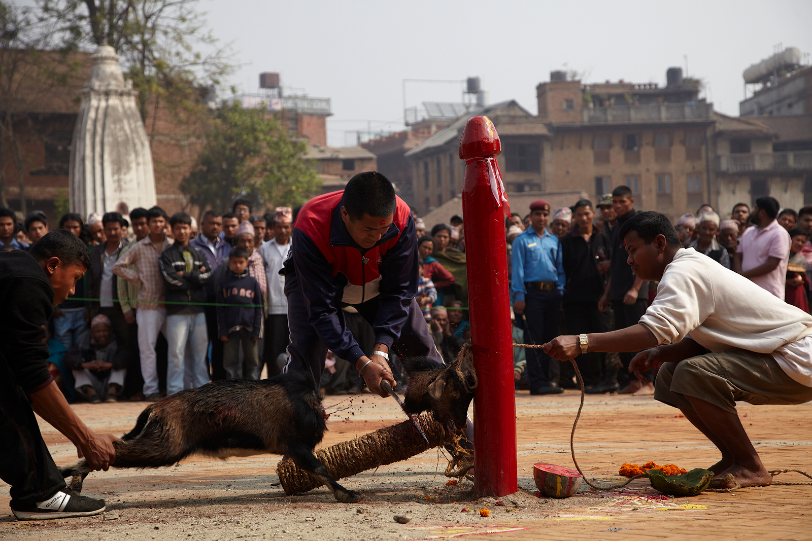animal sacrifice