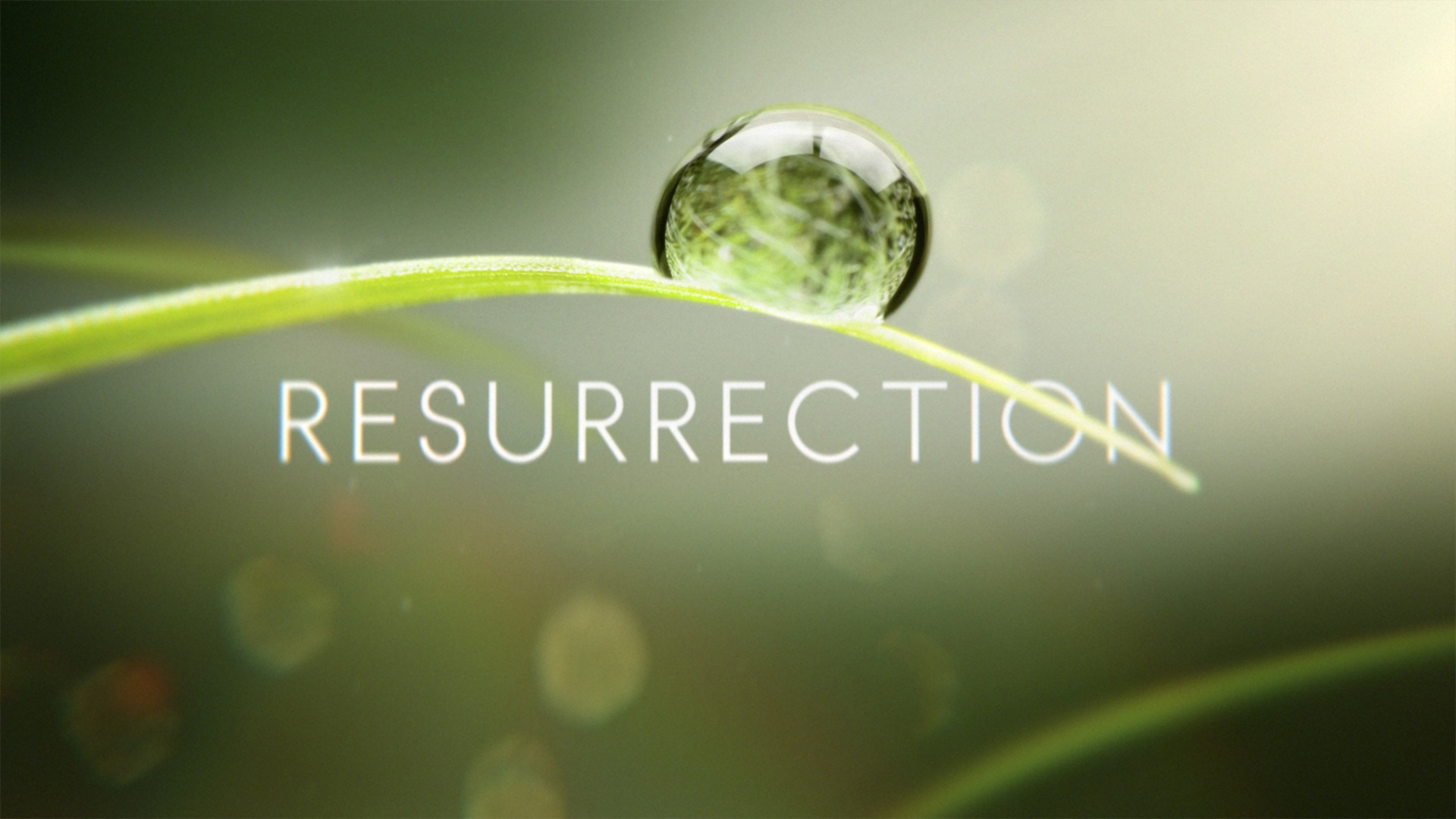 resurrection at the sound of the Trumpet